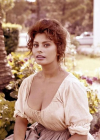 Screenshot 2024-07-30 at 14-14-04 sophia loren nude - Google Search.png